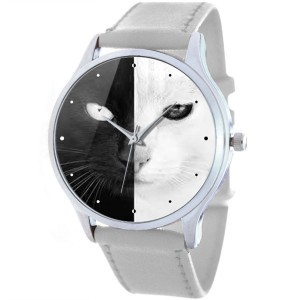������������ ���� Cats concept