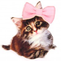 ����� Kitty - bow