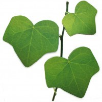 Стикер L Плющ_green