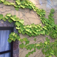 ������ L ����_green