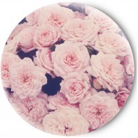 Одностороннее зеркальце Sweet Roses
